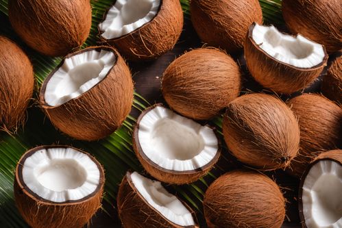 食物食品椰肉可口果實(shí)椰子攝影圖圖片 攝影圖 下載至來(lái)源處